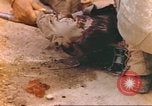 Immagine di Stati Uniti Marines Iwo Jima, 1945, secondo 40 filmato di repertorio 65675057733