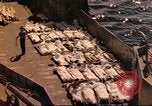 Standbild Vereinigten Staaten Marines Iwo Jima, 1945, aus Sekunde 25 historischem Filmmaterial Videoclip 65675057734