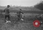 Standbild Rabbit Hunting Shelby Ohio USA, 1937, aus Sekunde 44 historischem Filmmaterial Videoclip 65675057738