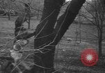 Standbild Rabbit Hunting Shelby Ohio USA, 1937, aus Sekunde 46 historischem Filmmaterial Videoclip 65675057738
