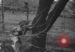 Standbild Rabbit Hunting Shelby Ohio USA, 1937, aus Sekunde 47 historischem Filmmaterial Videoclip 65675057738