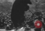 Standbild Circus im Central Park New York City USA, 1937, aus Sekunde 56 historischem Filmmaterial Videoclip 65675057739