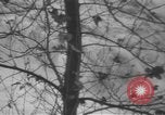 Image of storm Oregon United States USA, 1937, second 44 stock footage video 65675057740