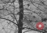 Image of storm Oregon United States USA, 1937, second 45 stock footage video 65675057740