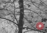 Image of storm Oregon United States USA, 1937, second 46 stock footage video 65675057740