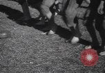 Image of Presbyterian Childrens Orphanage team Lynchburg Virginia USA, 1937, second 61 stock footage video 65675057741