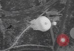 Image of naval parachute jumping school New Jersey United States USA, 1937, second 46 stock footage video 65675057743