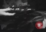 Image les mannequins montrent des chapeaux de fourrure New York City USA, 1940, de la seconde 37 séquences d'archives historiques vidéo 65675057748