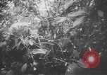 Image of American soldiers Panama, 1942, second 7 stock footage video 65675057756