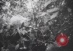Image of American soldiers Panama, 1942, second 8 stock footage video 65675057756