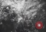 Image of American soldiers Panama, 1942, second 9 stock footage video 65675057756