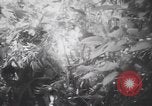 Image of American soldiers Panama, 1942, second 10 stock footage video 65675057756