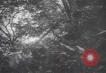 Image of American soldiers Panama, 1942, second 13 stock footage video 65675057756