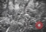 Image of American soldiers Panama, 1942, second 18 stock footage video 65675057756
