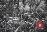 Image of American soldiers Panama, 1942, second 20 stock footage video 65675057756