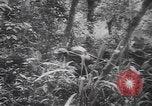Image of American soldiers Panama, 1942, second 21 stock footage video 65675057756