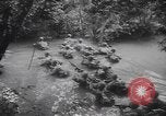 Image of American soldiers Panama, 1942, second 31 stock footage video 65675057756