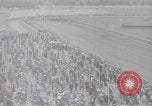 Image Brooklyn Handicap New York United States USA, 1942, de la seconde 16 séquences d'archives historiques vidéo 65675057758