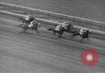Image Brooklyn Handicap New York United States USA, 1942, de la seconde 41 séquences d'archives historiques vidéo 65675057758
