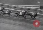 Image Brooklyn Handicap New York United States USA, 1942, de la seconde 42 séquences d'archives historiques vidéo 65675057758