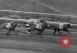 Image Brooklyn Handicap New York United States USA, 1942, de la seconde 43 séquences d'archives historiques vidéo 65675057758