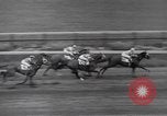 Image Brooklyn Handicap New York United States USA, 1942, de la seconde 44 séquences d'archives historiques vidéo 65675057758