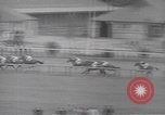 Image Brooklyn Handicap New York United States USA, 1942, de la seconde 51 séquences d'archives historiques vidéo 65675057758