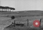 Immagine di Liberazione di Roma Italia, 1944, secondo 38 filmato di repertorio 65675057764