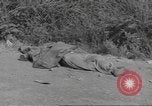 Immagine di Liberazione di Roma Italia, 1944, secondo 31 filmato di repertorio 65675057765