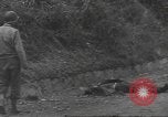 Immagine di Liberazione di Roma Italia, 1944, secondo 56 filmato di repertorio 65675057765