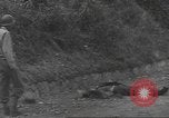 Immagine di Liberazione di Roma Italia, 1944, secondo 57 filmato di repertorio 65675057765