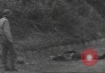 Immagine di Liberazione di Roma Italia, 1944, secondo 58 filmato di repertorio 65675057765