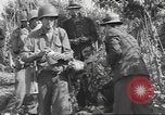 Immagine di Liberazione di Roma Italia, 1944, secondo 43 filmato di repertorio 65675057768