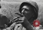 Immagine di Liberazione di Roma Italia, 1944, secondo 26 filmato di repertorio 65675057769