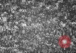 Standbild Football Game Knoxville Tennessee USA, 1960, aus Sekunde 44 historischem Filmmaterial Videoclip 65675057779