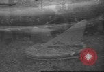 Standbild Motorboot Vereinigtes Königreich, 1960, aus Sekunde 18 historischem Filmmaterial Videoclip 65675057780