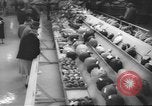Image of horse jumping show Canada, 1960, second 40 stock footage video 65675057783