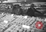 Image of horse jumping show Canada, 1960, second 46 stock footage video 65675057783
