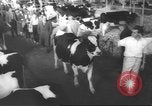 Image of horse jumping show Canada, 1960, second 51 stock footage video 65675057783