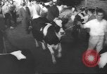 Image of horse jumping show Canada, 1960, second 53 stock footage video 65675057783