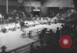 Image of horse jumping show Canada, 1960, second 54 stock footage video 65675057783
