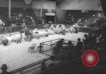 Image of horse jumping show Canada, 1960, second 56 stock footage video 65675057783