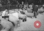Image of horse jumping show Canada, 1960, second 57 stock footage video 65675057783
