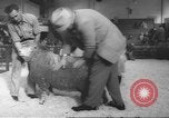 Image of horse jumping show Canada, 1960, second 62 stock footage video 65675057783