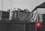 Image of funeral procession Ireland, 1960, second 30 stock footage video 65675057788