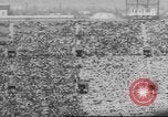 Standbild UCLA versus Air Force football Los Angeles California USA, 1962, aus Sekunde 5 historischem Filmmaterial Videoclip 65675057793