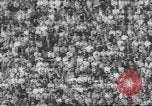 Standbild UCLA versus Air Force football Los Angeles California USA, 1962, aus Sekunde 10 historischem Filmmaterial Videoclip 65675057793