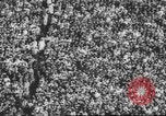 Standbild Football Game United States USA, 1962, aus Sekunde 9 historischem Filmmaterial Videoclip 65675057794