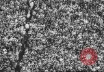 Standbild Football Game United States USA, 1962, aus Sekunde 10 historischem Filmmaterial Videoclip 65675057794