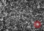 Standbild Football Game United States USA, 1962, aus Sekunde 27 historischem Filmmaterial Videoclip 65675057794
